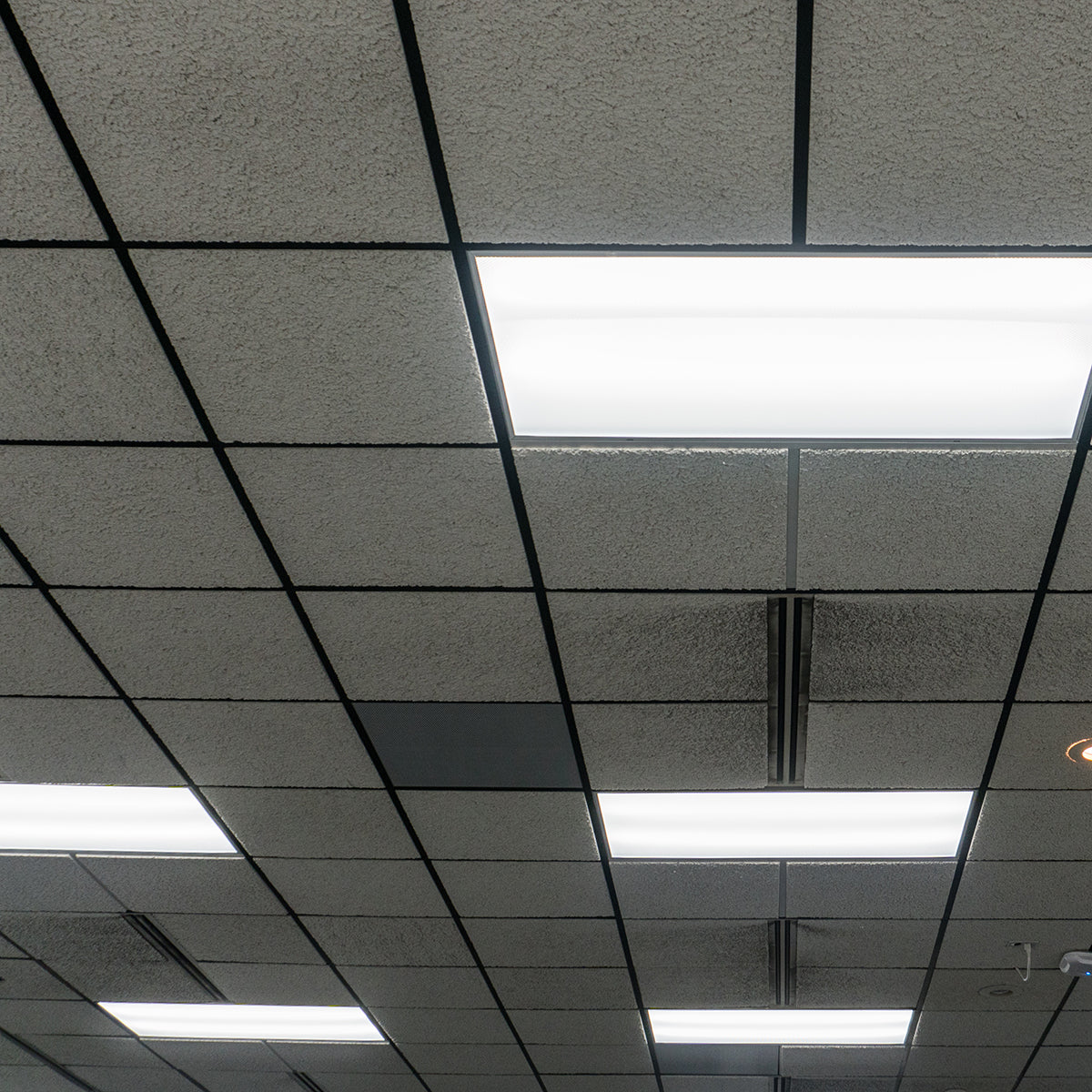 2x4 LED Troffer Retrofit installed in drop ceiling providing bright, efficient lighting for commercial spaces