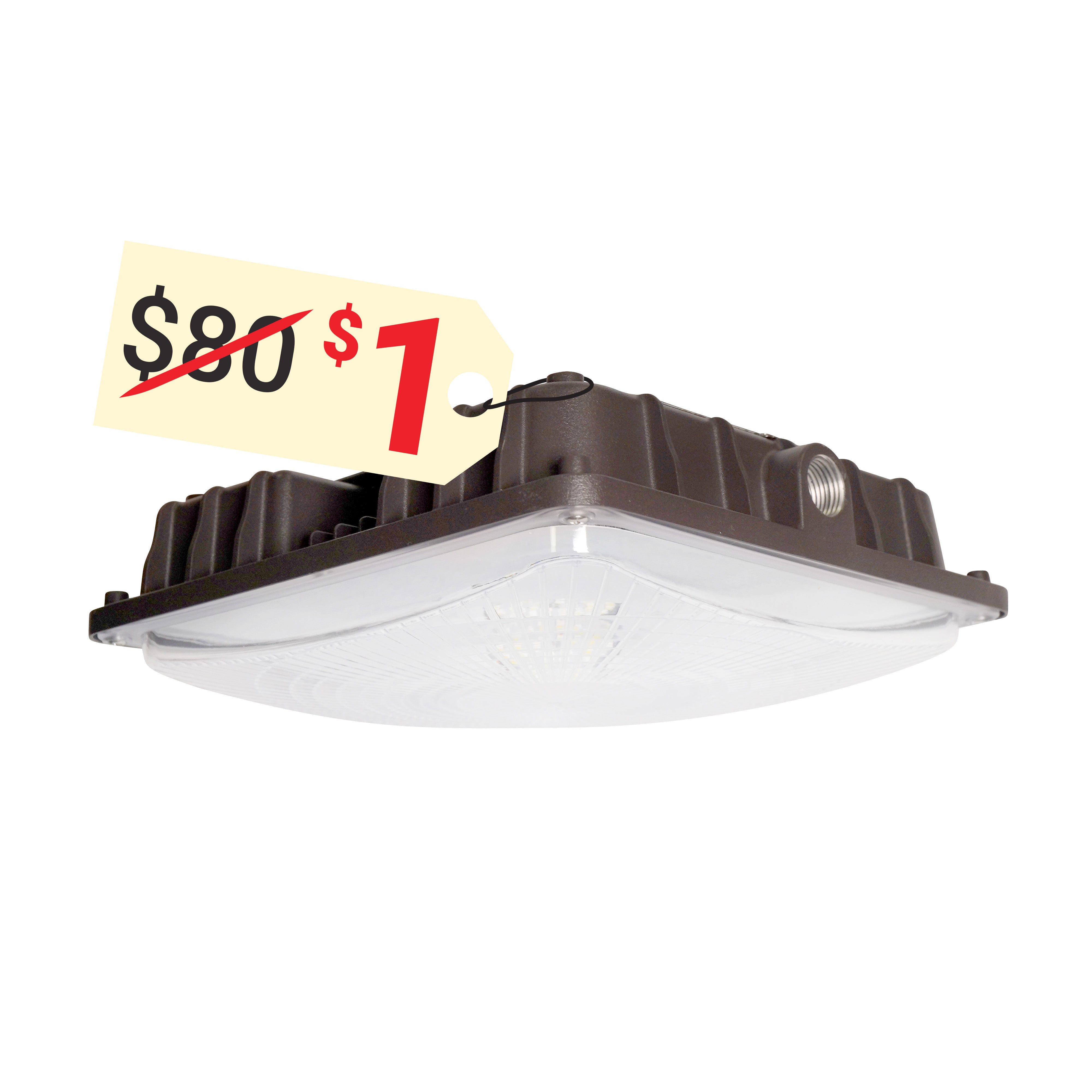 canopy light
