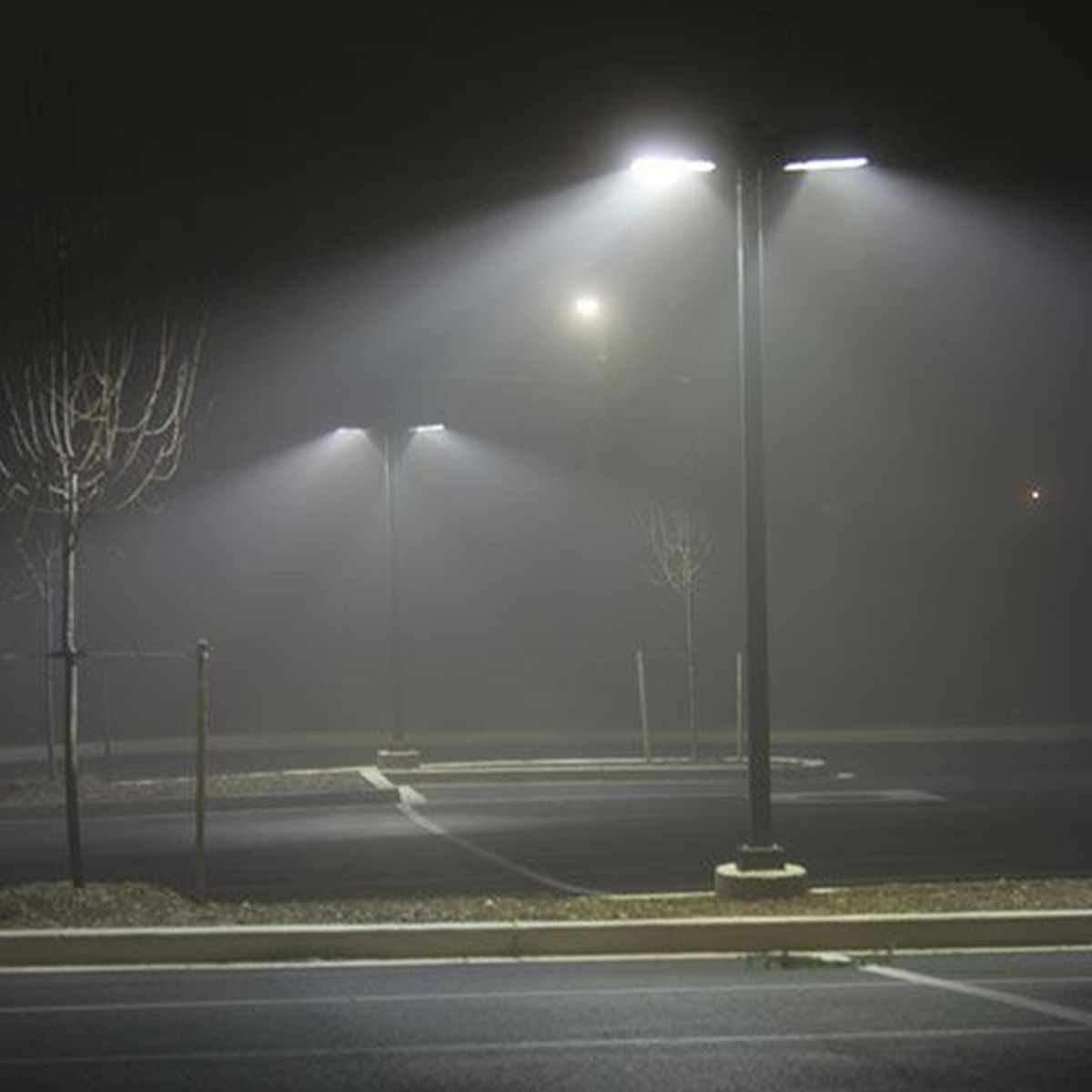 LED corn bulb retrofit lamp installed horizontally in outdoor area light fixture at commercial parking lot showing mogul base connection and multi-directional LED chip array providing 360-degree illumination pattern