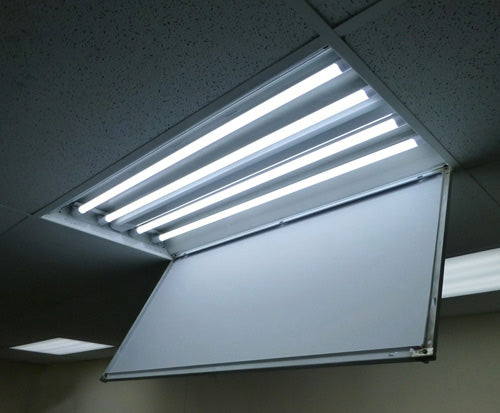 Four T8 four-foot LED tube lamps installed in 2x4 fluorescent troffer fixture in suspended grid ceiling showing ballast-bypass Type B tube replacement conversion method for commercial office lighting
